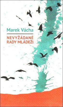 image:Image Nevyžádané rady mládeži