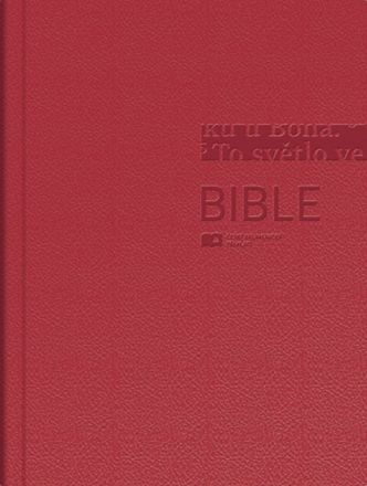 image:Image Bible ekumenická - malá