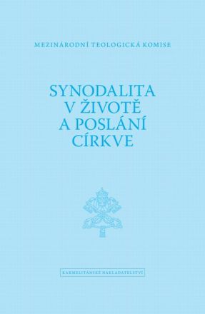 image:Image Synodalita
