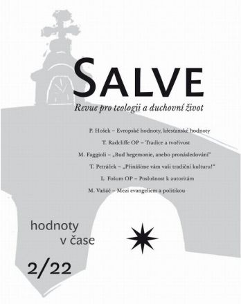image:Image Salve 2/22 - hodnoty v čase
