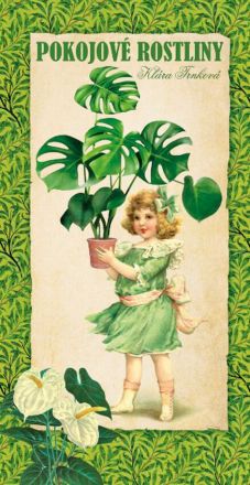 image:Image Pokojové květiny