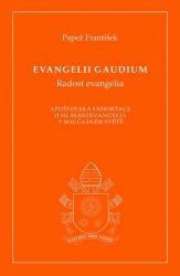 Evangelii gaudium image:Image Evangelii gaudium