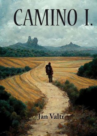 image:Image Camino I.
