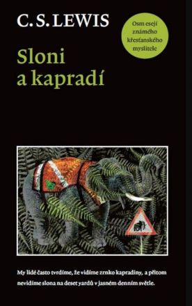 image:Image Sloni a kapradí