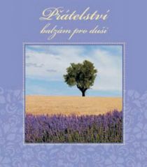 image:Image Přátelství - balzám pro duši