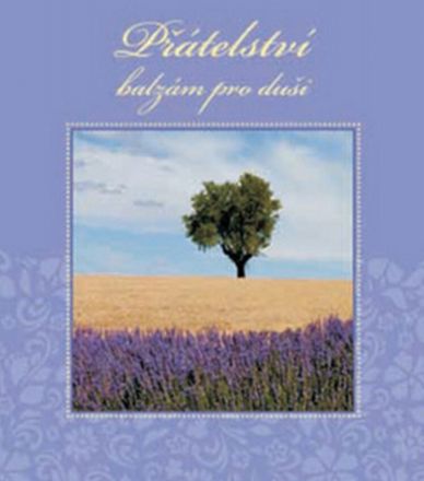 image:Image Přátelství - balzám pro duši