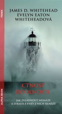 image:Image Ctnost odolnosti