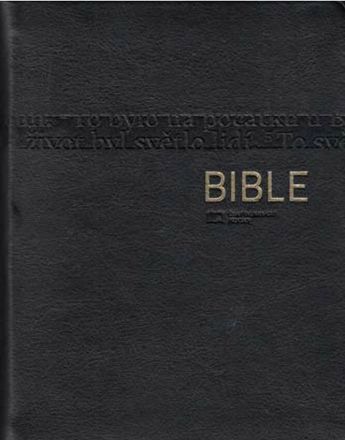image:Image Bible katolická malá - luxus