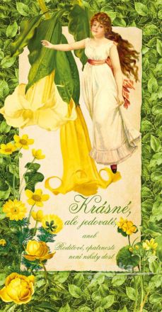 image:Image Krásné, ale jedovaté