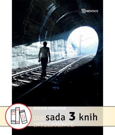 image:Image Duchovní inteligence + Síla tří + Pravá sebeúcta