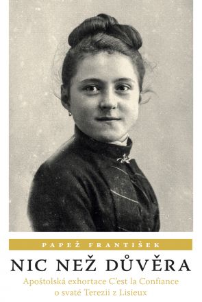 image:Image Nic než důvěra