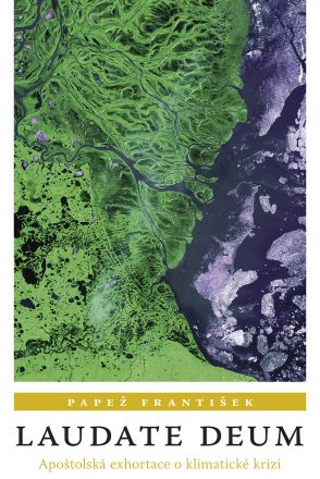 image:Image Laudate Deum