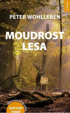 image:Image Moudrost lesa