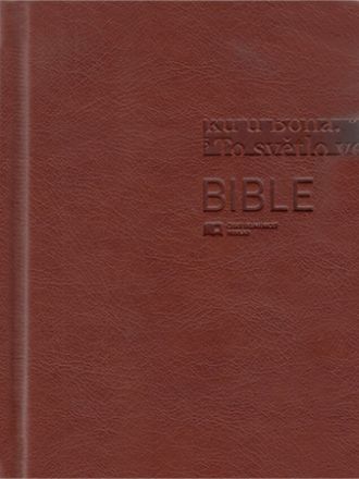 image:Image Bible ekumenická, malá