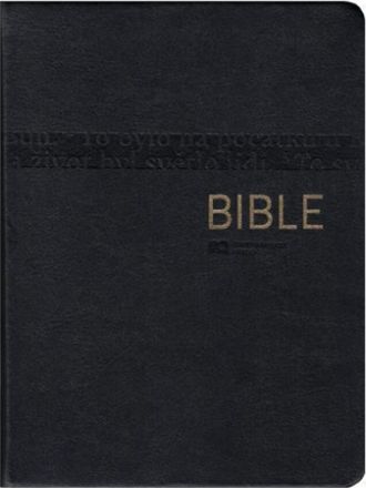 image:Image Bible ekumenická, luxus, malá