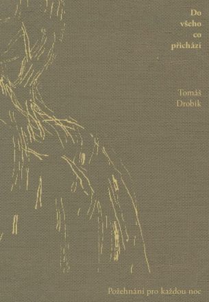 image:Image Do všeho co přichází