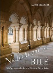 image:Image Nadechnout se bílé