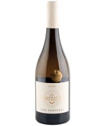 Vox Blanc 2023 - Via Caritatis image:Image Vox Blanc 2023 - Via Caritatis