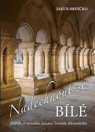 image:Image Nadechnout se bílé