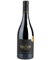 Lux Rose 2023 - Via Caritatis image:Image Lux Rose 2023 - Via Caritatis