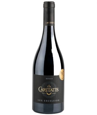 image:Image Lux Rose 2023 - Via Caritatis