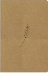 image:Image Bible 21 - kapesní, honey