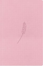 image:Image Bible 21 - kapesní, rosé