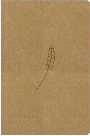 image:Image Bible 21 - kapesní, honey