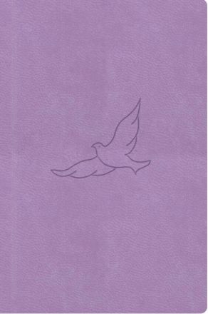 image:Image Bible 21 - kapesní, lila