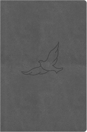 image:Image Bible 21 - kapesní, pepper