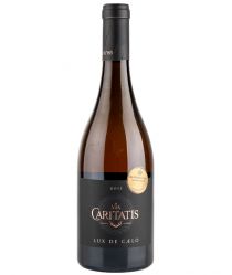 image:Image Lux Rose 2023 - Via Caritatis