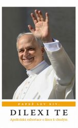 image:Image Dilexi Te