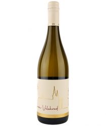 image:Image Cuvée Velehrad 2024 Sauvignon + Cabernet Blanc