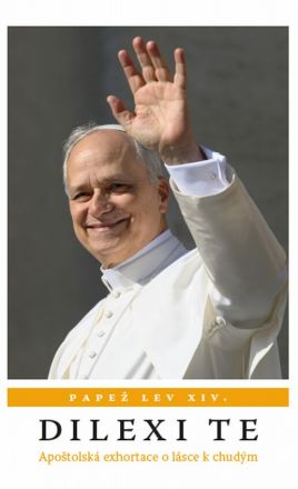 image:Image Dilexi Te