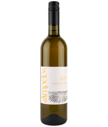 image:Image Hroznový mošt bílý 2025 Rulandské bílé