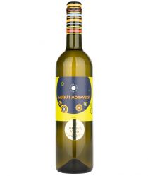 image:Image Muškát moravský 2025