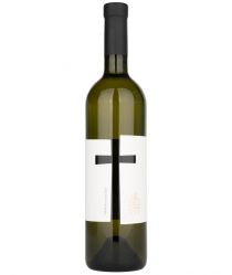 image:Image Veltlínske zelené 2024