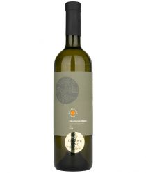 image:Image Sauvignon Blanc 2024 BIO