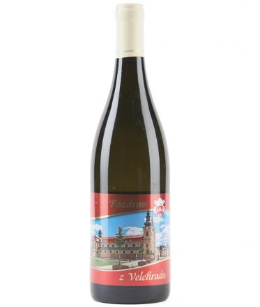 image:Image Pinot Blanc 2018 - Pozdrav z Velehradu